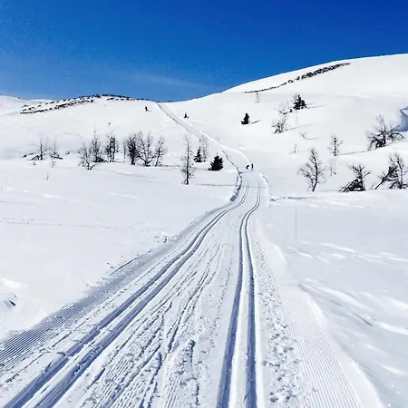 Valdres Tisleia 3*